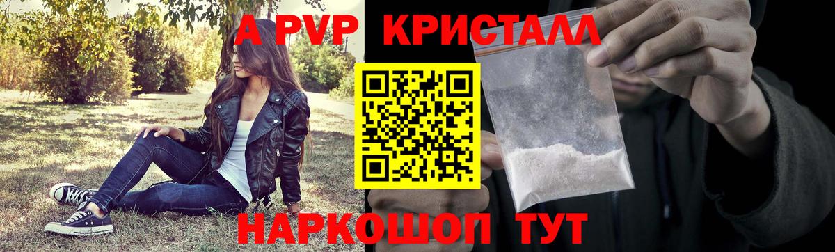 APVP СК КРИС Карабулак