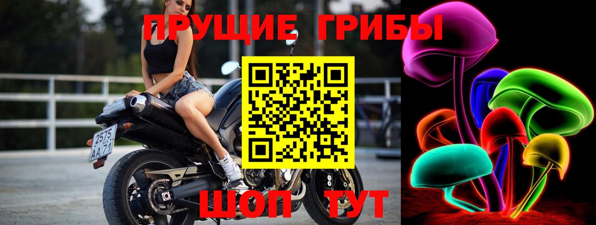 Карабулак  Псилоцибиновые грибы мухоморы  Вход с VPN 